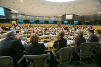 MINORITY SAFEPACK AT HEARING IN THE EUROPEAN PARLIAMENT - MORE RIGHTS FOR CITIZENS’ INITIATIVES
