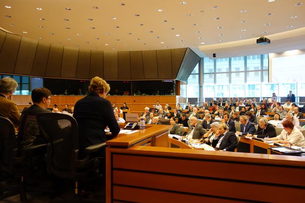 Die Europäische Volkspartei organisiert eine Anhörung zu Minderheiten im Europäischen Parlament 
