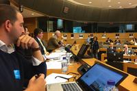 FUEN speaks at conference about diasporas in the European Parliament