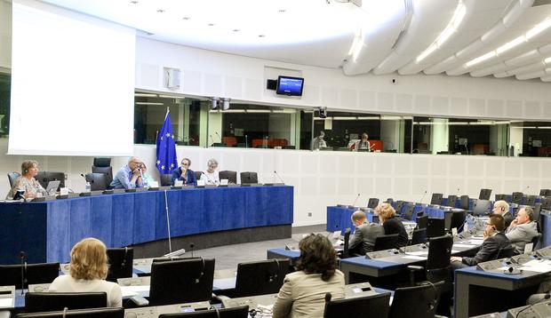Bemutatkozott a FUEN új elnöke az Európai Parlamentben 