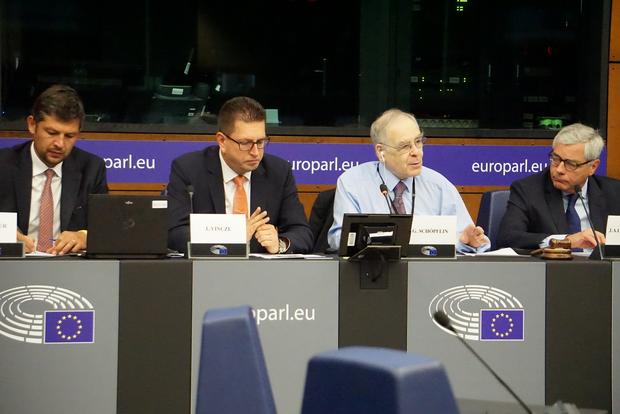 FUEN-Delegation im EP: Mehrheitsgemeinschaften müssen Botschaft der Minderheiten erhören 