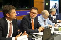 FUEN-Delegation im EP: Mehrheitsgemeinschaften müssen Botschaft der Minderheiten erhören