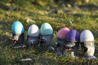 Die FUEN wünscht allen ein frohes und besinnliches Osterfest