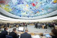 FUEN legte bei der UN-Menschenrechtskommission der Vereinten Nationen zwei schriftliche Stellungnahmen vor